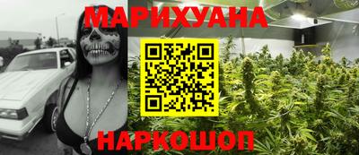 сатива Аргун