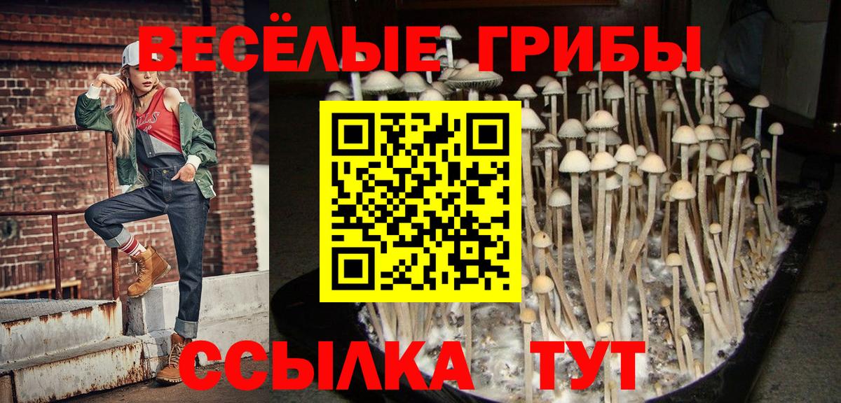 Галлюциногенные грибы Cubensis Воткинск