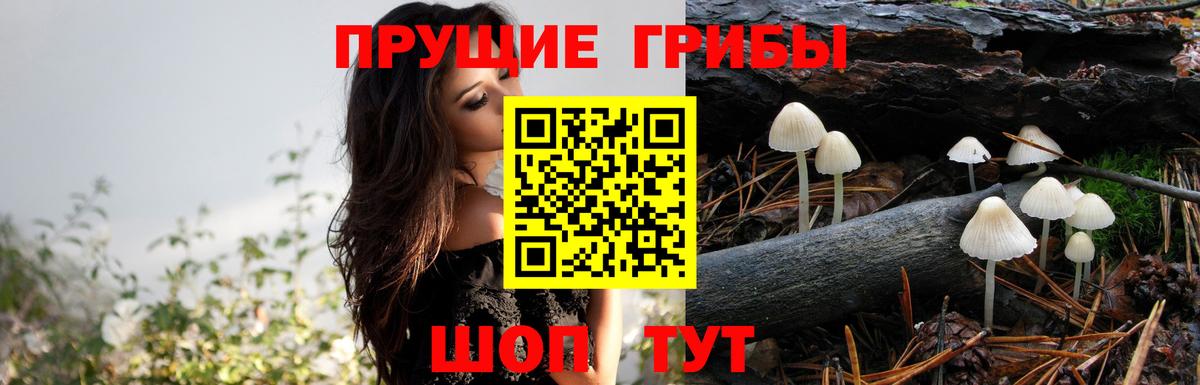 Псилоцибиновые грибы мухоморы  Вход с VPN  Воткинск  Галлюциногенные грибы GOLDEN TEACHER 